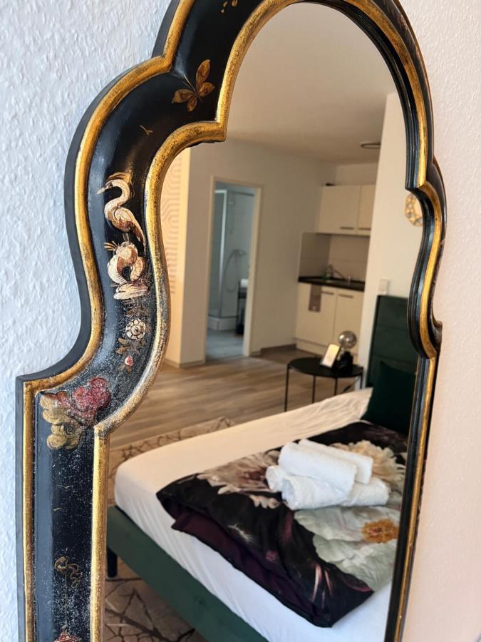 Am Klinikum, Naehe Europa Park Und Strasbourg, Zentrumsnah Offenburg Esterno foto